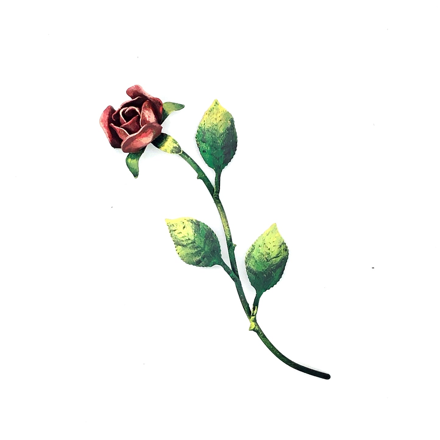 Rosa d'appoggio